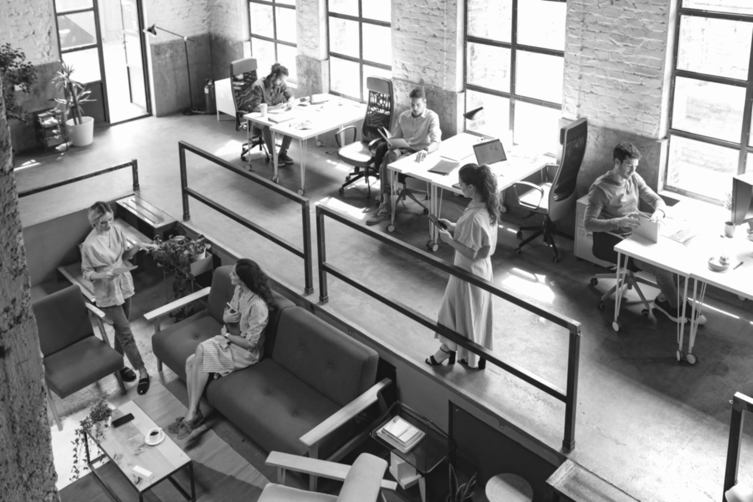 Dhark Veltex learning environment — students engaged in online web design sessions