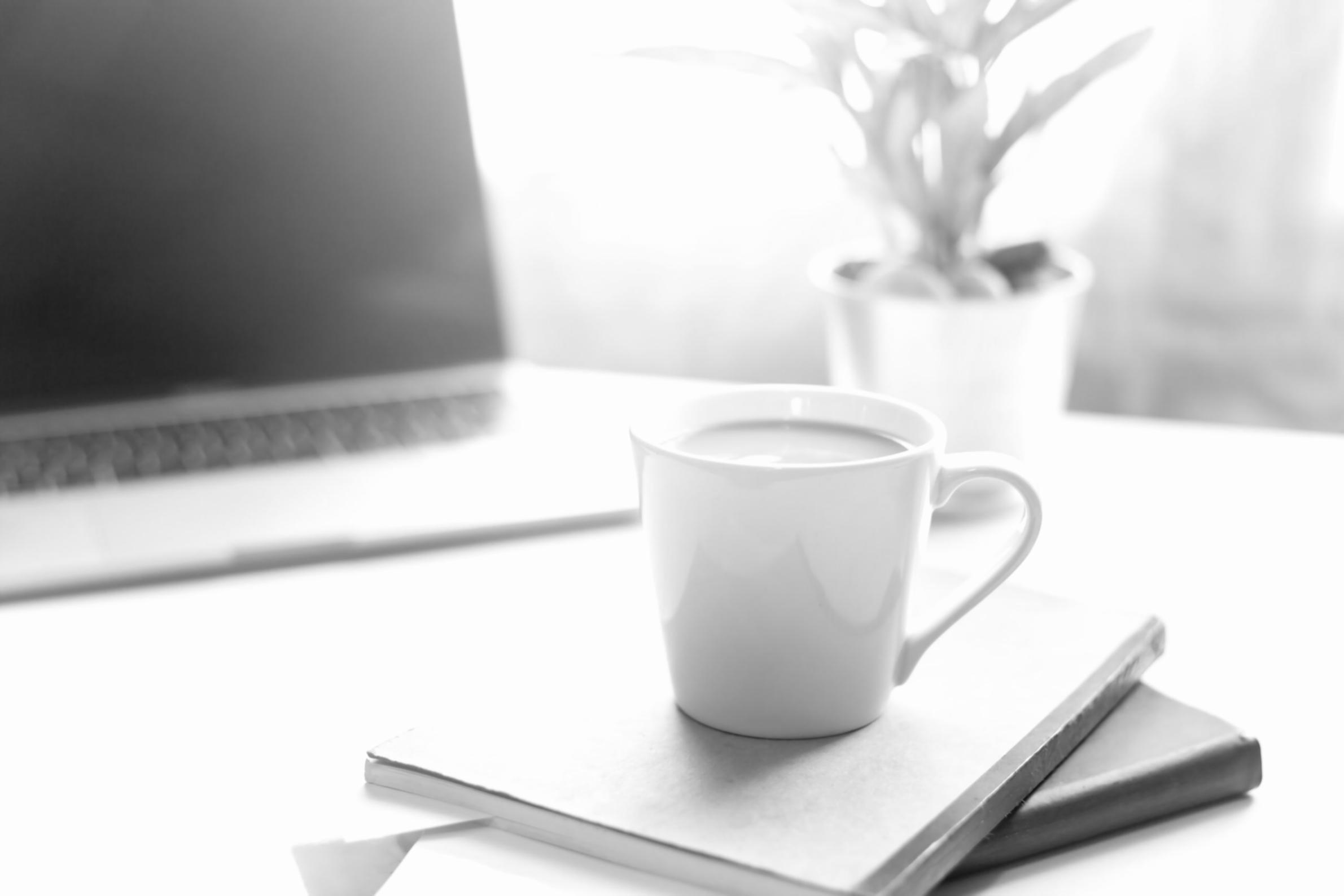 Q&A session with web design professionals